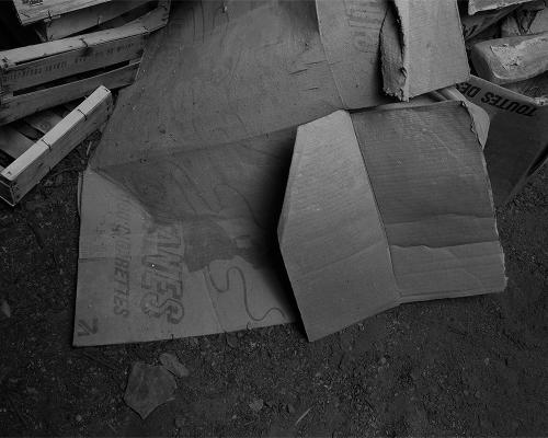 Carton