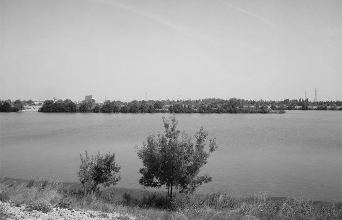 Section 1