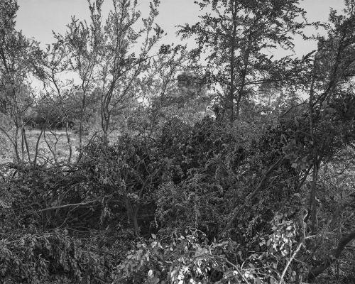 Garrigue 1_18