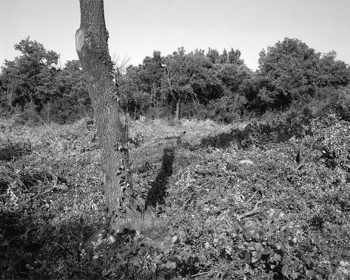 Garrigue 1_8