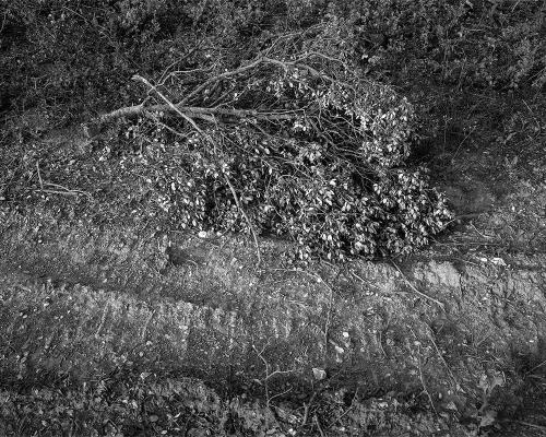 Garrigue 2_10