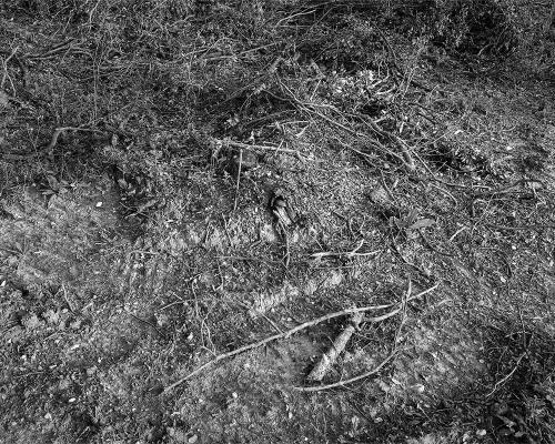 Garrigue 2_11