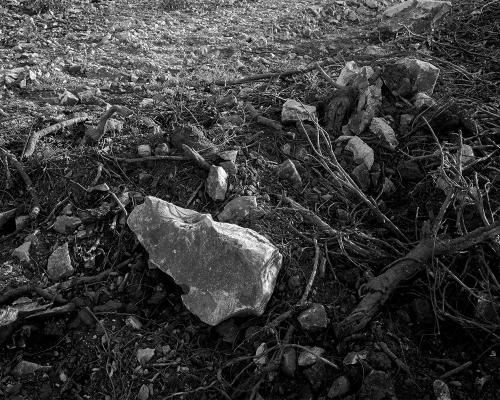 Garrigue 2_17