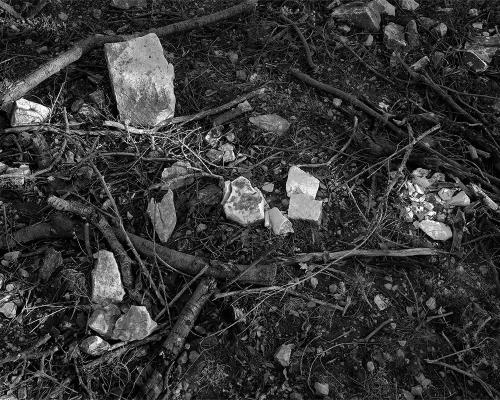 Garrigue 2_19