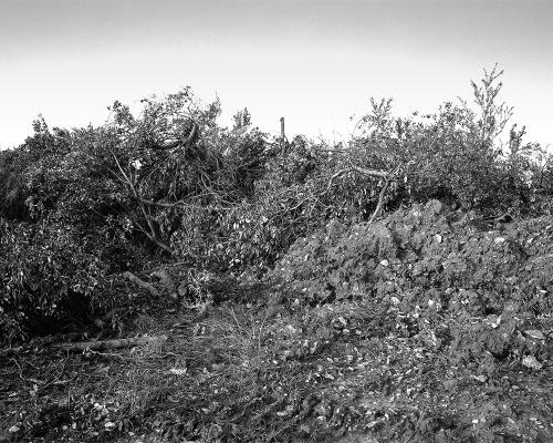 Garrigue 2_1