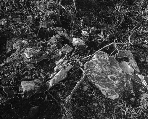 Garrigue 2_20