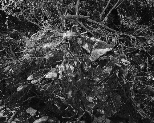 Garrigue 2_23