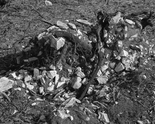 Garrigue 2_24