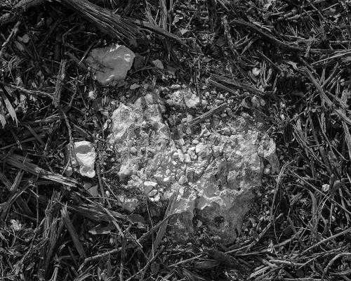 Garrigue 2_26