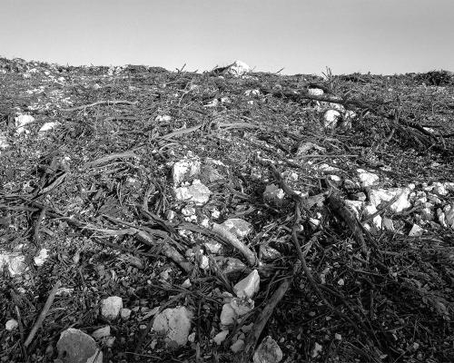 Garrigue 3_10