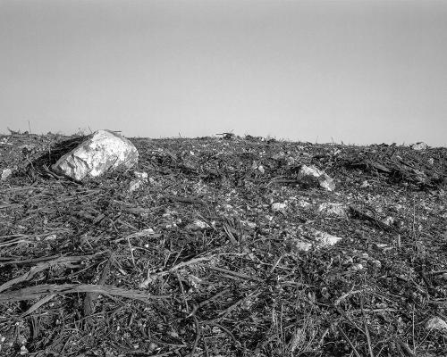 Garrigue 3_12