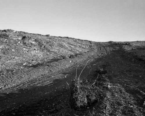 Garrigue 3_13