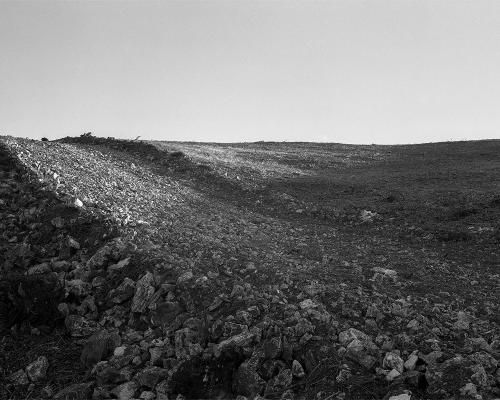 Garrigue 3_14
