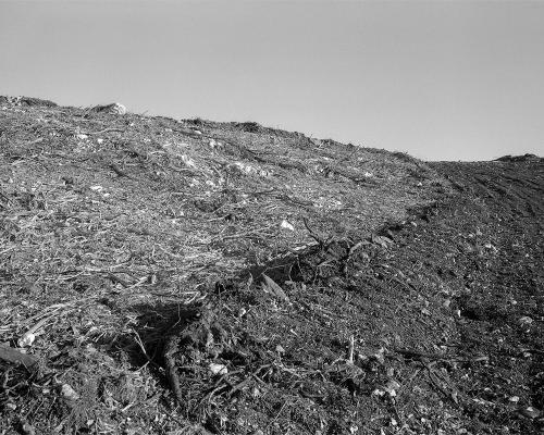 Garrigue 3_16