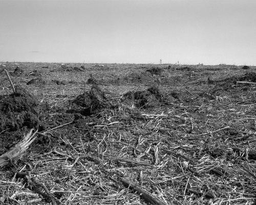 Garrigue 3_20