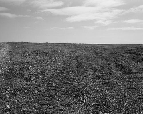 Garrigue 3_22