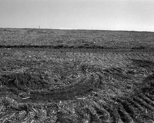 Garrigue 3_24