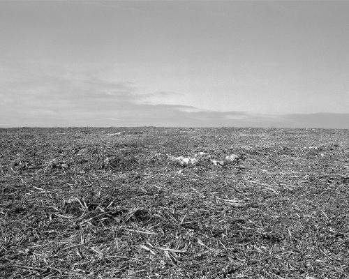 Garrigue 3_28