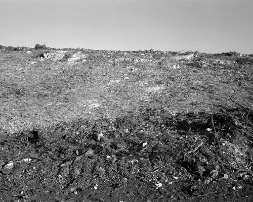 Garrigue 3_6