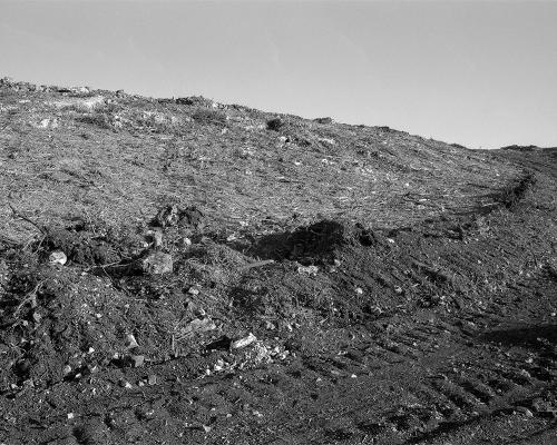 Garrigue 3_7