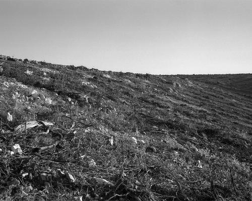Garrigue 3_8