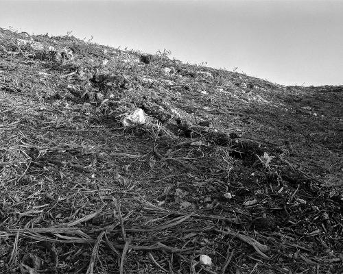Garrigue 3_9