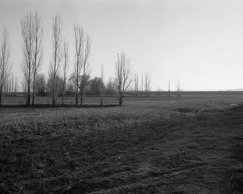 Oiselay 1_12